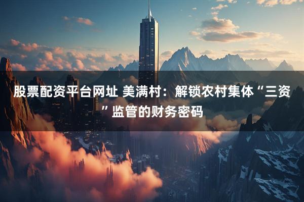 股票配资平台网址 美满村：解锁农村集体“三资”监管的财务密码